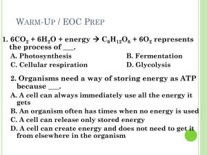 Biochemistry Review