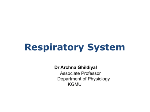 Respiratory System Lecture:9 [PPT]