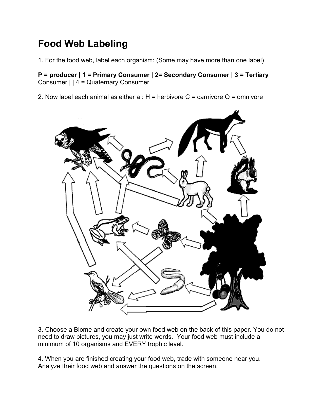 22. For the food web, label each organism: (Some may have more For Food Web Worksheet Pdf