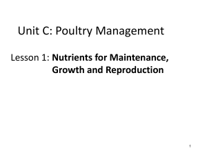 NutrientsforMaintenance,Growth-English