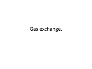 Gas exchange. - Keswick School PE Department.