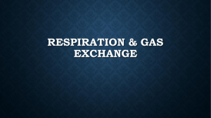 Respiration & Gas Exchange