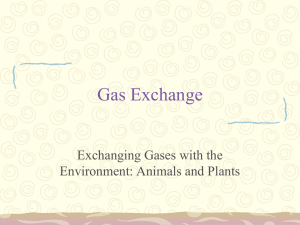 Gas Exchange - HoldenScienceEducation