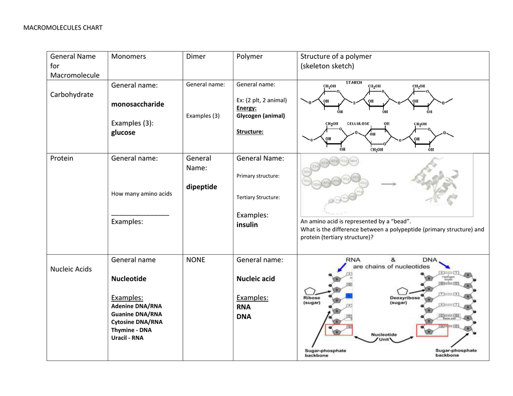 Monomers And Polymers Chart