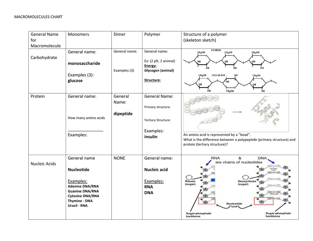 macromolecules examples