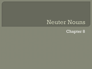 Chapter 8 Neuter Nouns