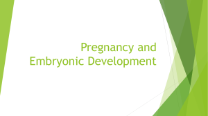 Pregnancy and Embryonic Development