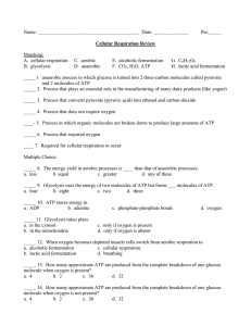 Name: Date: Per:_____ Cellular Respiration Review Matching: A