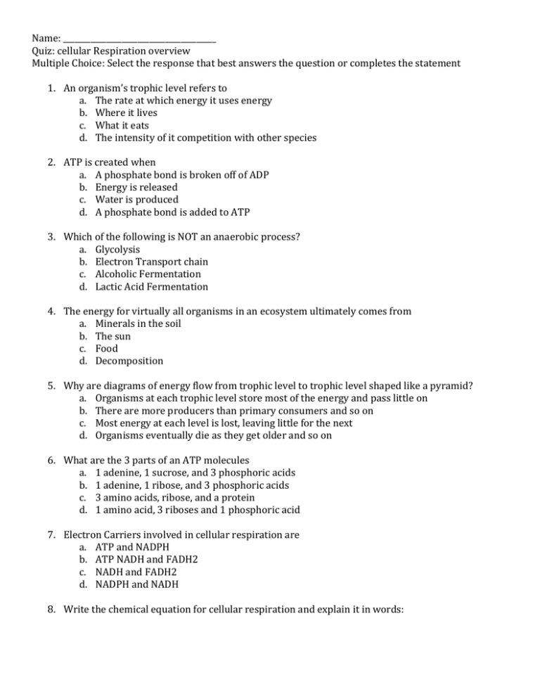 Name Quiz cellular Respiration Overview Multiple Choice Select