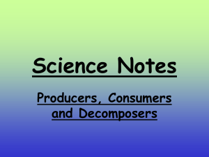 Science Notes Producers, Consumers And Decomposers