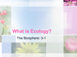 What is Ecology and Energy Flow