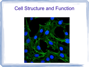 Unit 3 Cell Structures and Functions