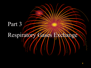 Part 3 respiratory gases exchange