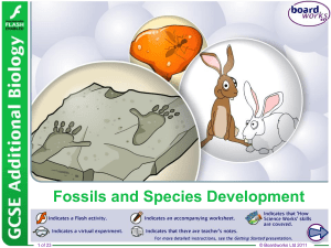 Fossils and Species Development