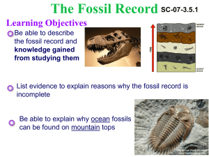 The Fossil Record - Campbell County Schools