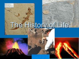 The History of Life - Grant County Schools