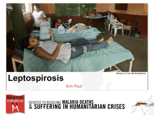 Leptospirosis in Nicaragua