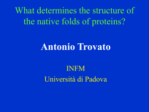 What determines the native state folds of proteins