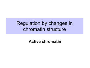 4_9_active_chromatin
