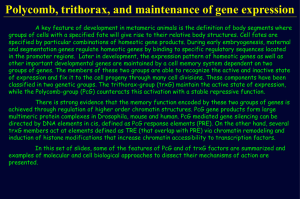 PcG, trxG and the maintenance of gene expression