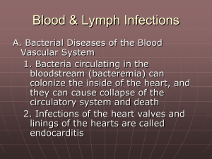 Blood & Lymph Infections