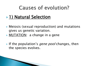 Causes of evolution