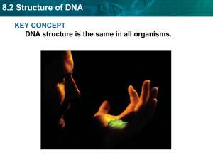 8.2 Structure of DNA - Fulton County Schools