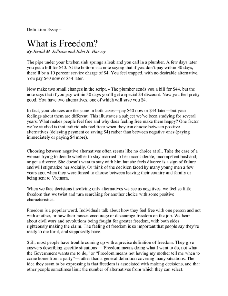 freedom and happiness essay