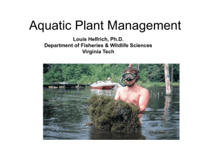 Identification and Control of Aquatic Weeds in Farm Ponds