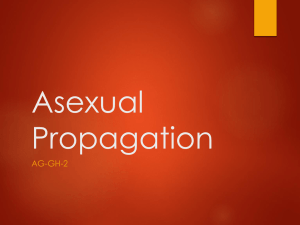 Asexual Propagation - Effingham County Schools