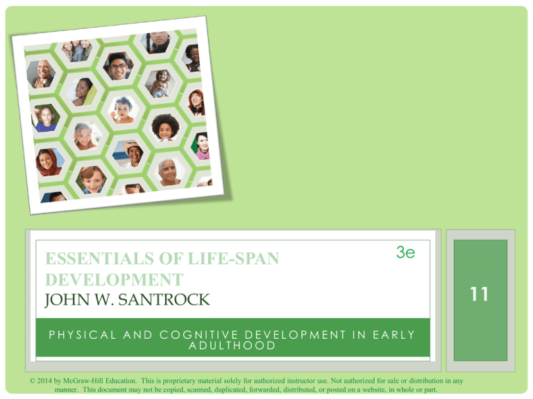Ch11 Physical And Cognitive Development In Early Adulthood