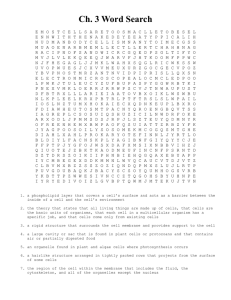 Ch. 3 Word Search