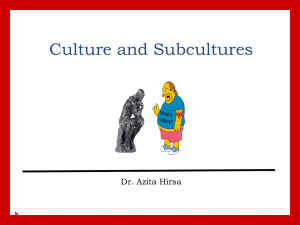 Culture and Subculture