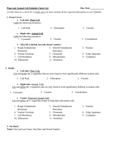 Plant and Animal Cell Foldable Check List Due Date