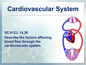 L.14.36 Cardiovascular System