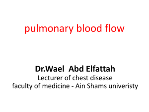 pulmonary blood flow