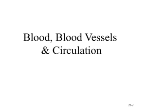 to find the lecture notes for lecture 15 Blood pressure click here