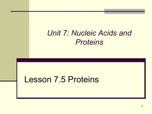 IB-Biology-PPT-Part II-Compressed