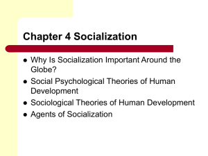 Chapter 3 Socialization