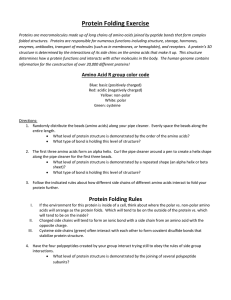 Protein Folding Exercise