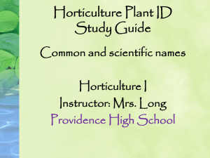Horticulture Plant ID