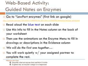 Enzyme essential notes