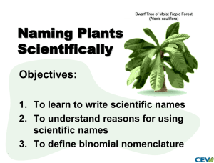 Naming Plants Scientifically