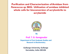 Purification and Characterization of Amidase from Paracoccus sp. SKG