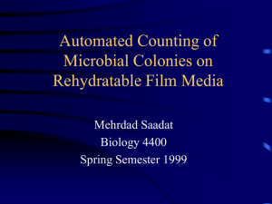 Automated Counting of Microbial Colonies on Rehydratable Film