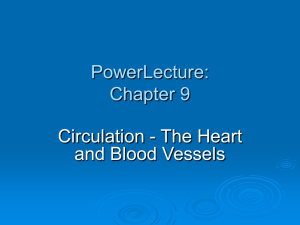 PowerLecture: Chapter 9