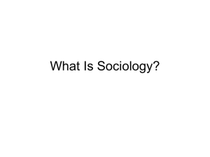 What Is Sociology? - NBHS Social Studies 2014