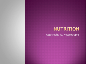 Nutrition: Autotrophs vs. Heterotrophs