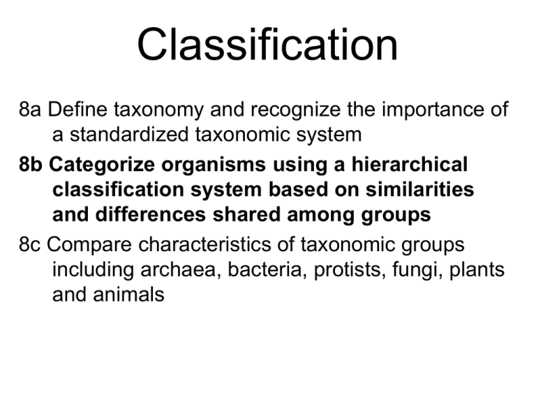 classification