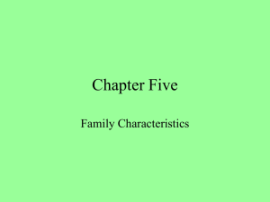 Families #2 Family Characteristics